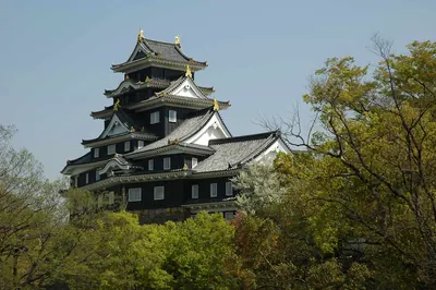 Okayama Castle