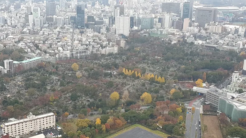 Aoyama Cemetery