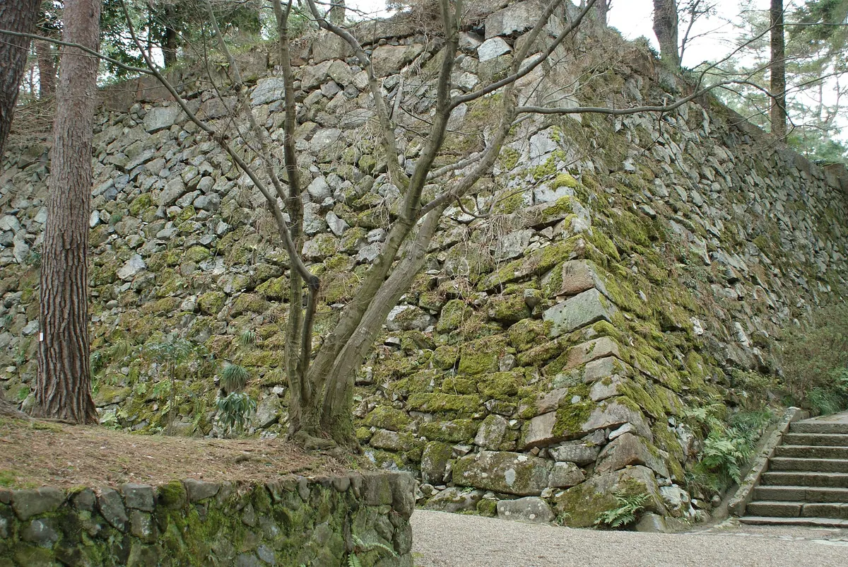 Kameyama Castle