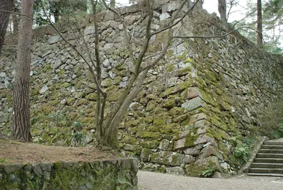 Kameyama Castle