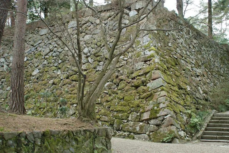 Kameyama Castle
