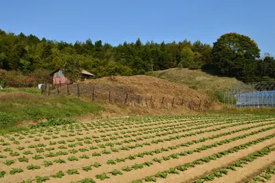 Kanazuka Kofun