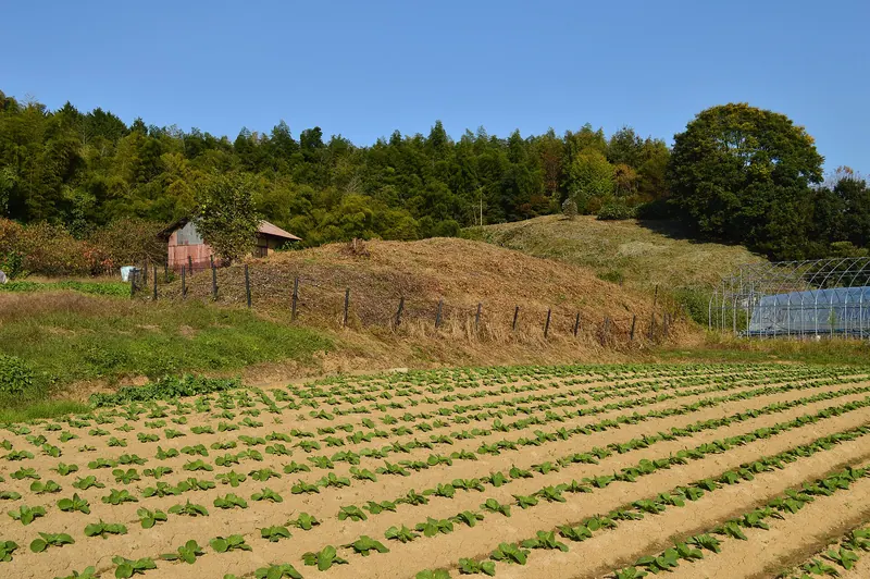 Kanazuka Kofun