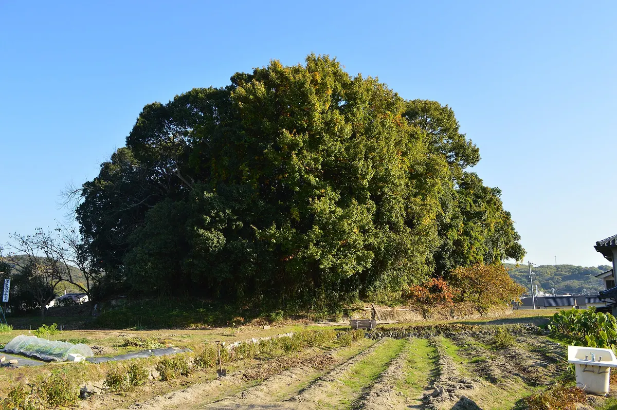 Matsumoto Kofun