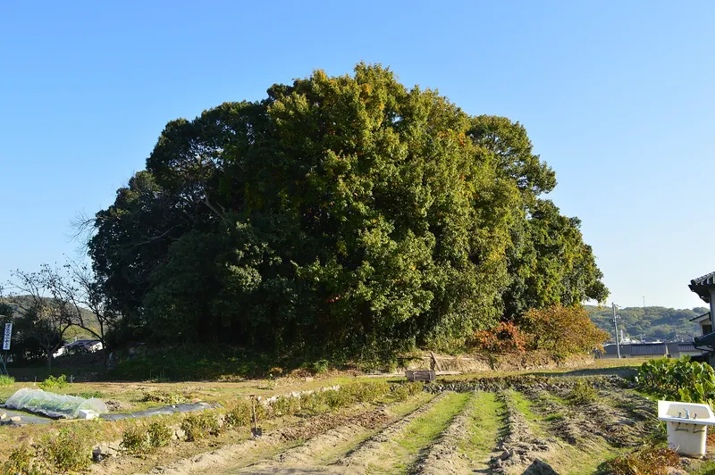 Matsumoto Kofun