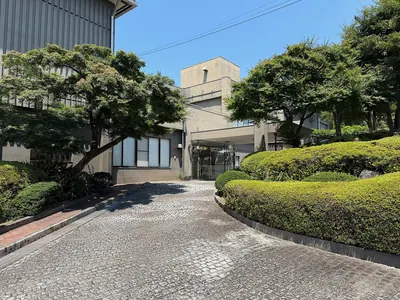 Mt. Fuji and Princess Kaguya Museum