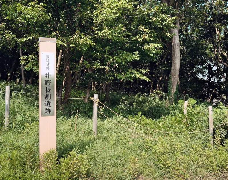 Inonagawari Site