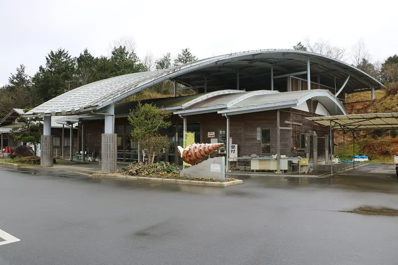 Nagi Vicarya Museum