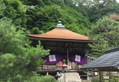 Ryuzo-ji Temple (Tambasasayama)