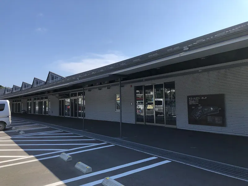 Whale Town Oshika