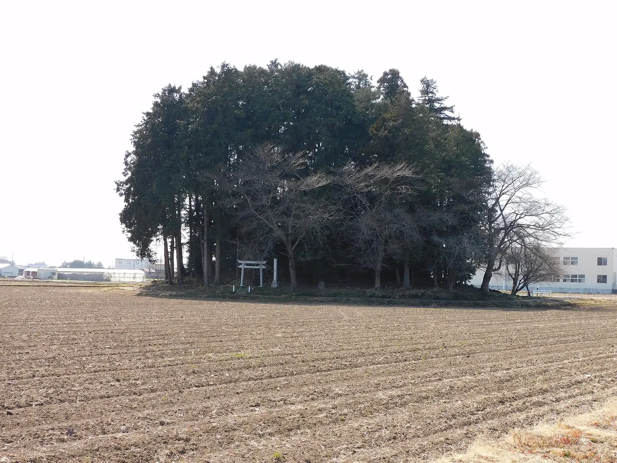 Shimoguri-Ōtsuka Kofun