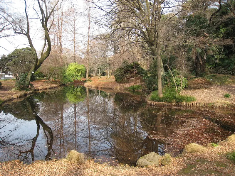 Koishikawa Botanical Garden