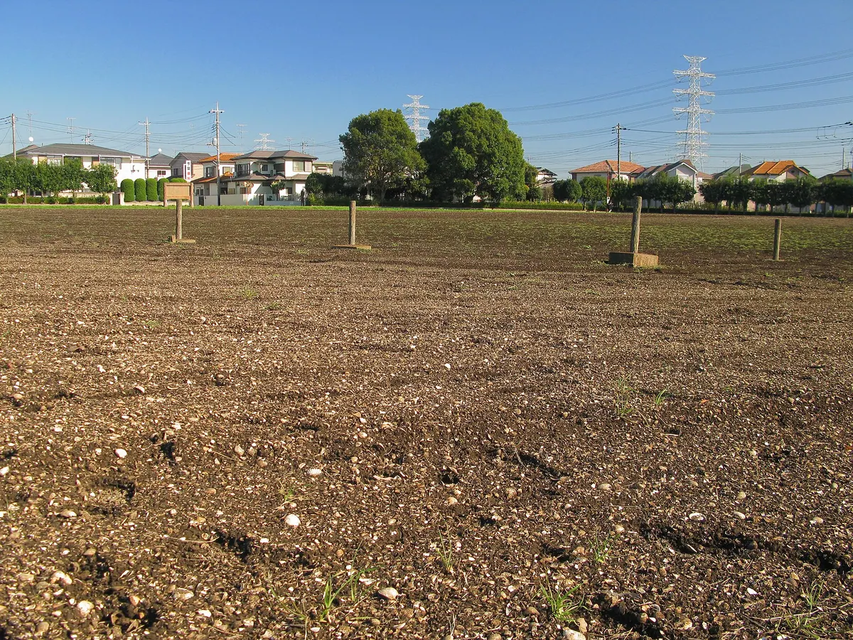 Yamazaki Shell Mound