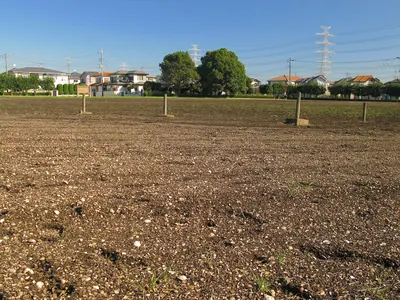 Yamazaki Shell Mound