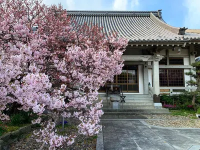 Yakushi-ji Temple