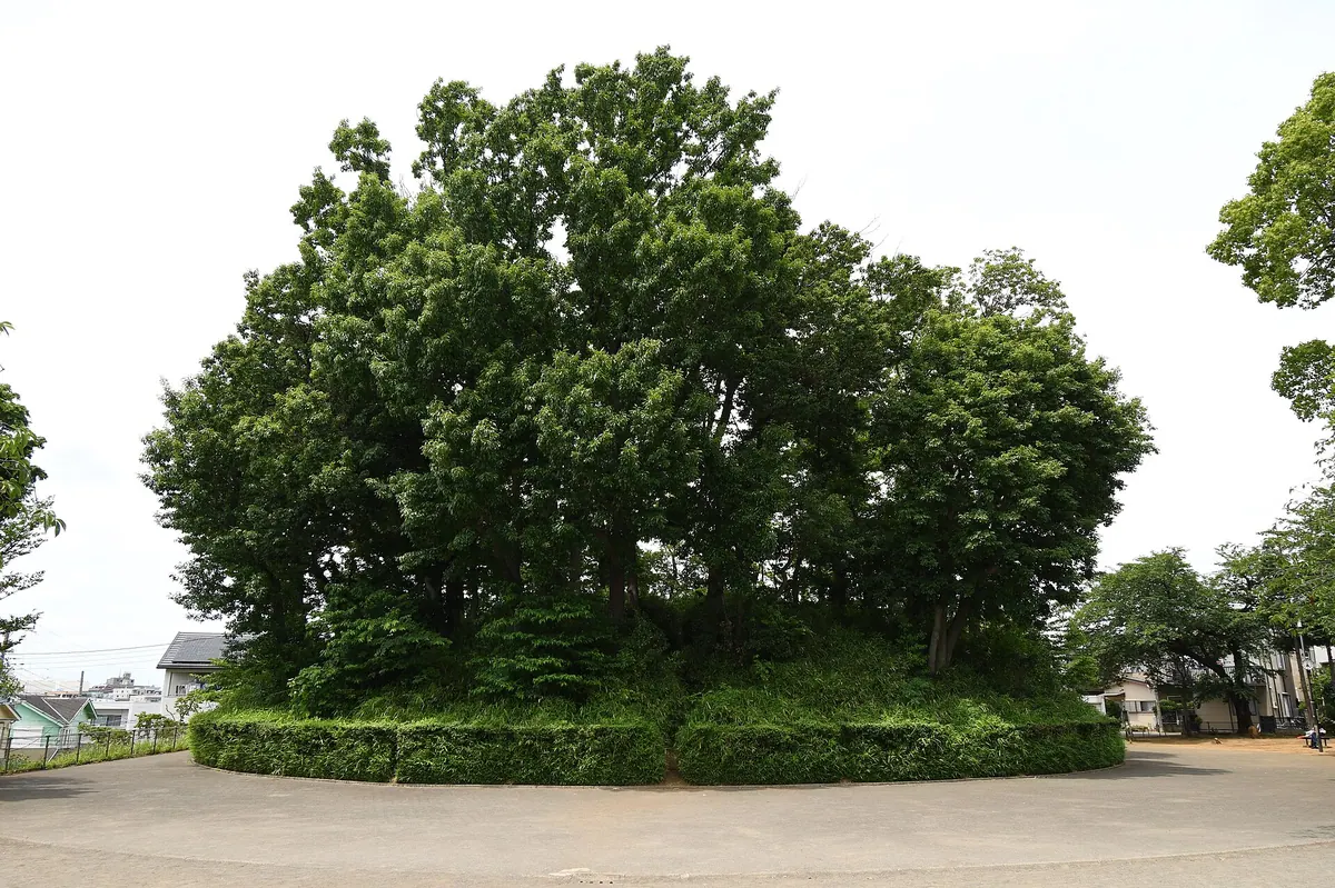 Saifuku-ji Kofun