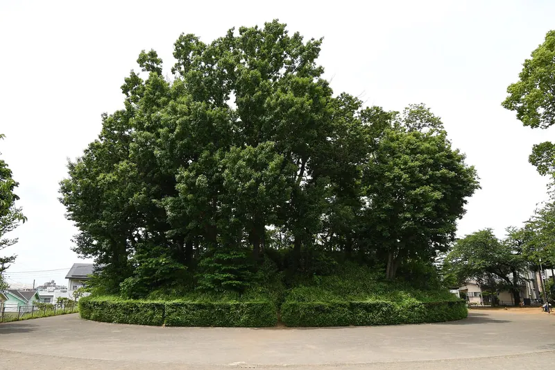 Saifuku-ji Kofun