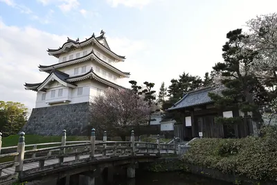 Oshi Castle