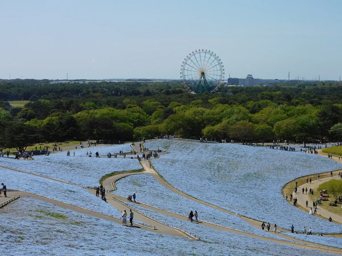 Hitachi Seaside Park