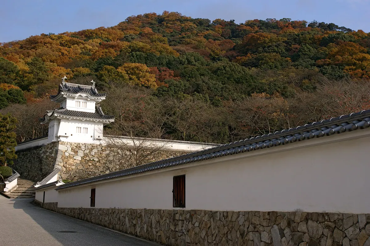 Tatsuno Castle