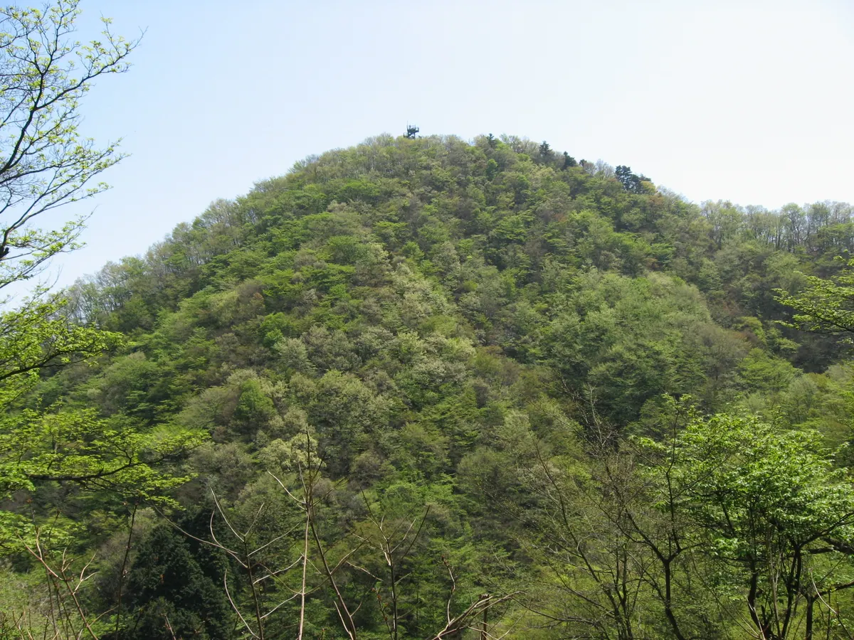 Mount Bukka