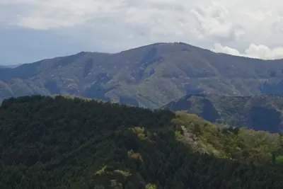 Mount Bonoore