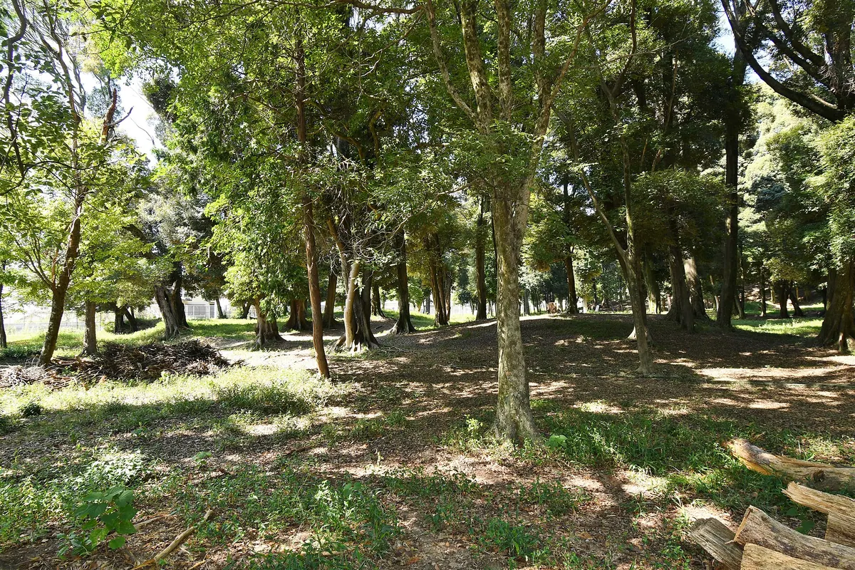 Kuse temple ruins