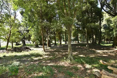 Kuse temple ruins