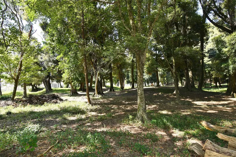 Kuse temple ruins
