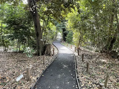 Sano Ikoi no Mori Ryokuchi (Adachi)