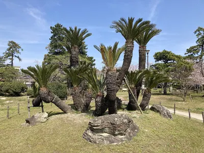 Minatoyama Park