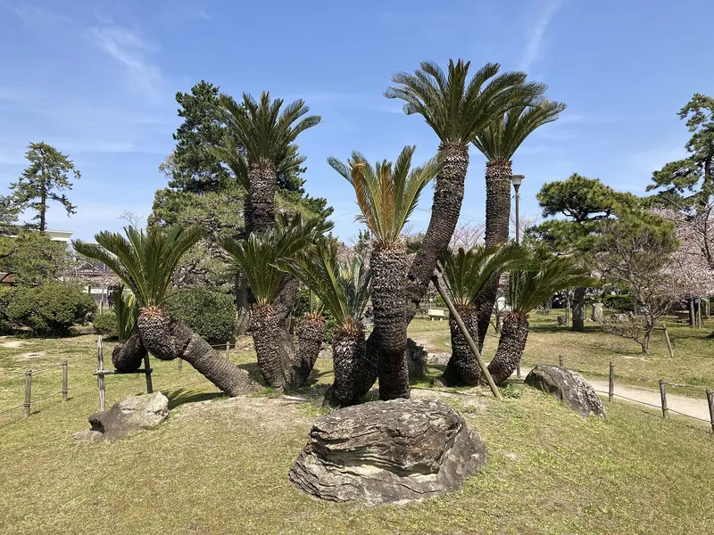 Minatoyama Park