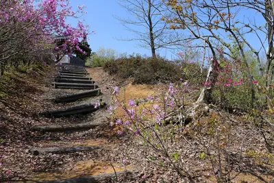 Fukui Botanical Garden