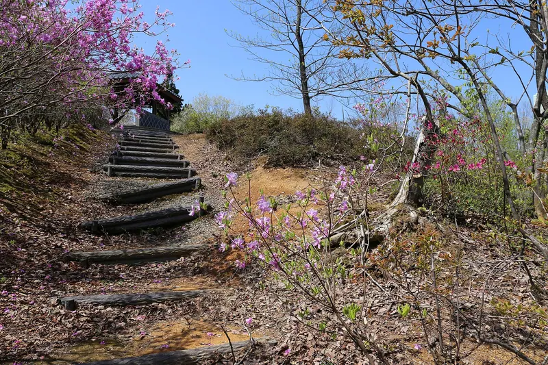 Fukui Botanical Garden