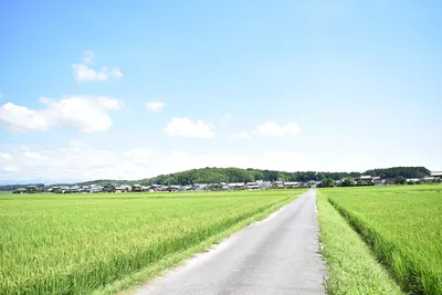 Anō Castle