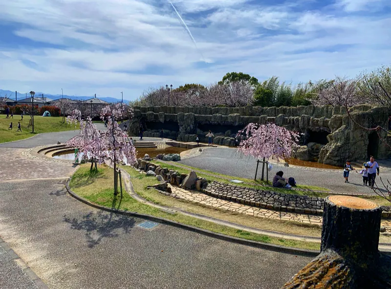 Higashinakatomi Sakurazutsumi Park