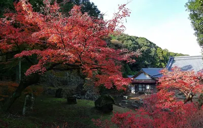 Guiguo Temple