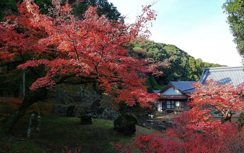 Guiguo Temple