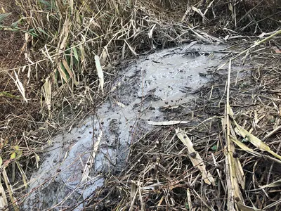 Gamou mud volcano