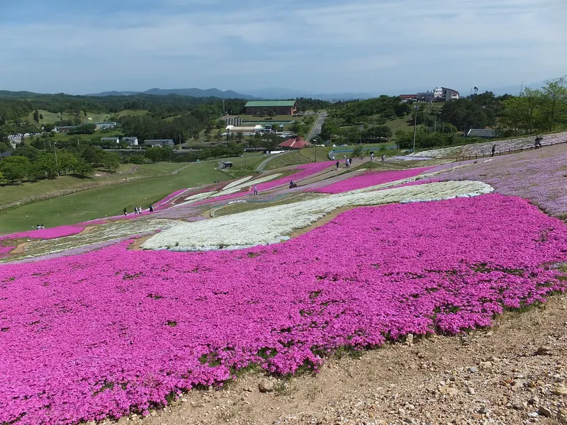 Omori Park