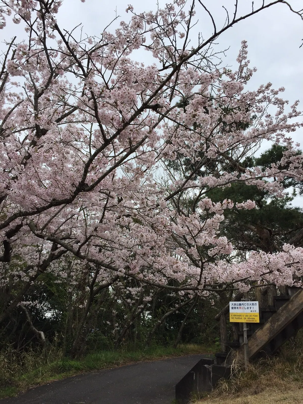 Ōhama Park