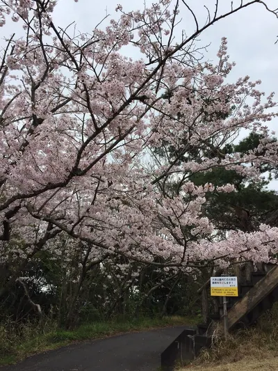 Ōhama Park