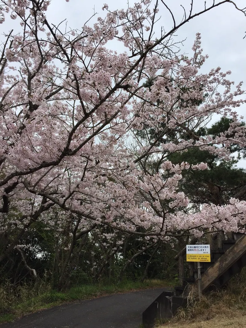 Ōhama Park