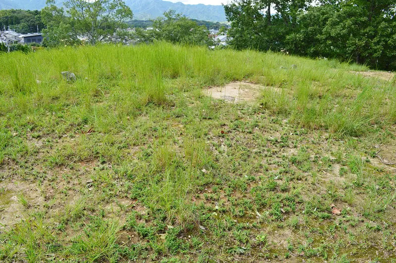 Takarazuka Kofun