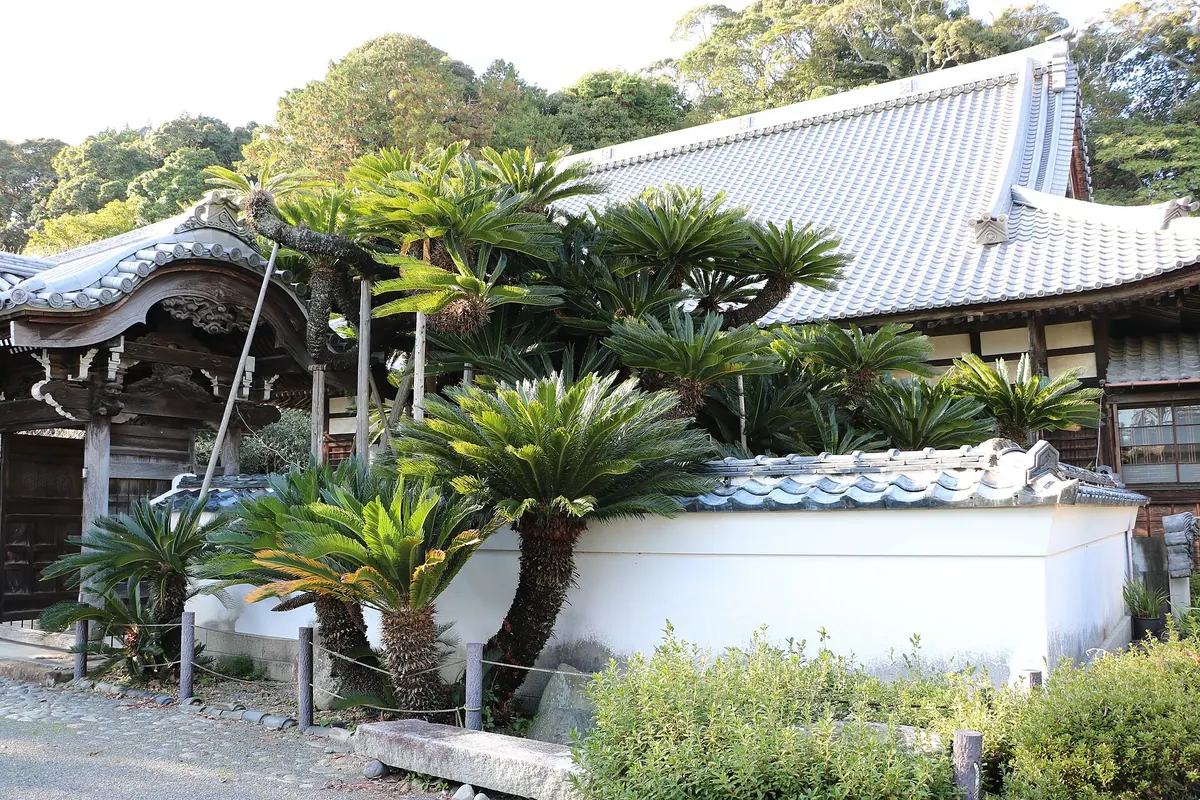 Nōman-ji Temple