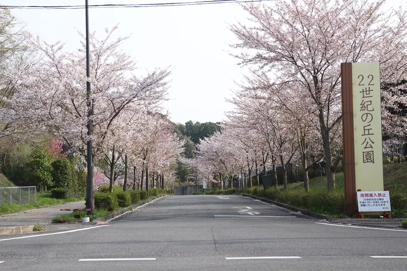 22nd Century Hill Park