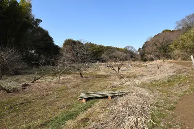 Katsusaka Arukayato Site