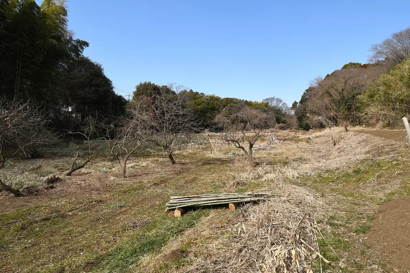 Katsusaka Arukayato Site