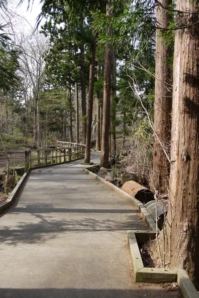 Maruyama Park