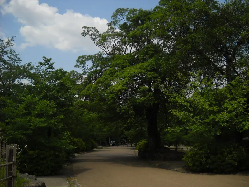 Maruyama Park